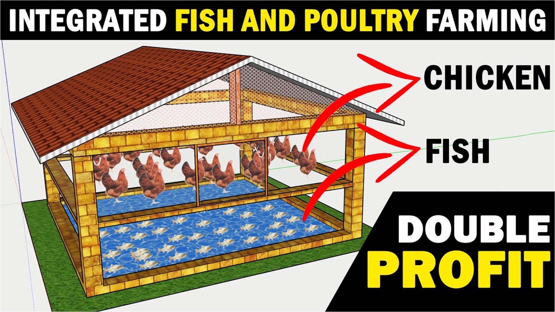 Integrated Fish and Poultry Farming! Malayalam In